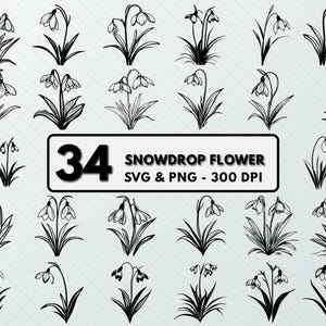 Snowdrop Flower Svg Png, Snowdrop Clipart, Snowdrop Floral Silhouette, Decal, Snowdrop Vector Art Outline, Snowdrop Design, Cut File Circuit