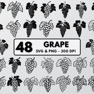 Grape SVG Bundle: Silhouette, Outline, Vine Clipart (Digital Download)
