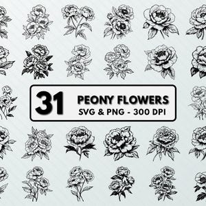 Peony Flower SVG: Floral Clipart, Vector Art, Cut Files (PNG)