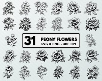 Peony Flower SVG: Floral Clipart, Vector Art, Cut Files (PNG)