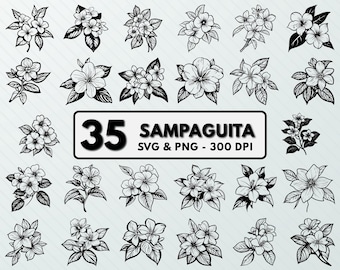 Sampaguita Svg Bundle, Sampaguita Silhouette Cut File, Sampaguita Vector Art, Sampaguita Png Clipart, Sampaguita  Outlines Decal Icon Files