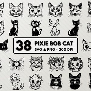 Może przedstawiać: Zestaw 38 czarno-białych cyfrowych ilustracji przedstawiających koty pixie bob w różnych pozach i z różnymi dodatkami. Ilustracje są w formacie SVG i PNG i mają rozdzielczość 300 DPI.