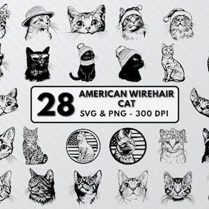 American Wirehair Cat Svg Bundle, American Cat Silhouette Png, Cat Breeds Vectors Decal, Cute Cat Svg Clipart, Cats Outline Cut Files Cricut