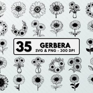 Gerbera Svg Png Bundle, Gerbera Clipart, Gerbera Flower Silhouette, Gerbera Vector, Gerbera Cut Files, Gerbera Cricut, Gerbera Outline Art