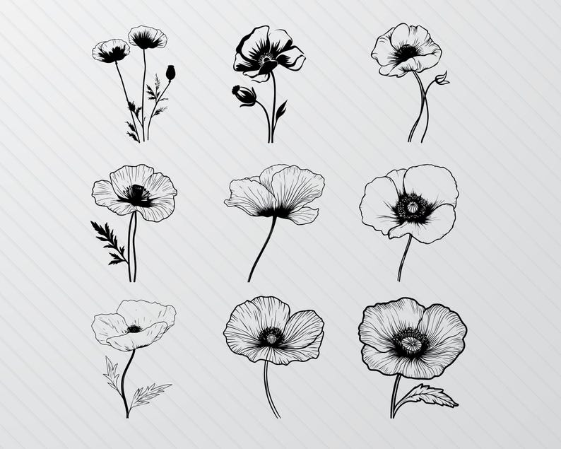 Poppy Cut Files Poppy Flower SVG Bundle: Hand-drawn Botanical Clipart (PNG, Vector) - Etsy