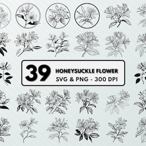 Honeysuckle Flower SVG PNG Bundle: Floral Silhouette Clipart (Digital Download)