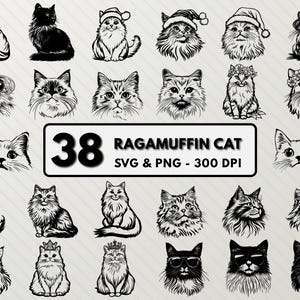 Ragamuffin Cat SVG Bundle: Kitten Clipart, Outline Cut Files (PNG ...