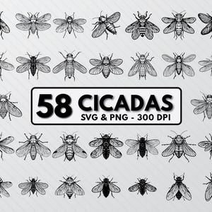 Cicada Silhouette SVG Bundle: Insect Clipart, Decal Vector (Digital Download)