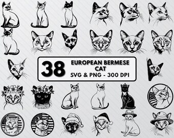 European Burmese Cat SVG Bundle: Kitten Line Art (PNG, Vector)