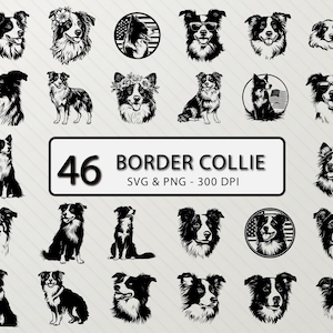 Border Collie Svg Silhouette, Border Collie Svg Bundle, Cute Dog Png Vector Art, Border Collie Clipart Decal, Dogs Breed Icon Cricut Outline