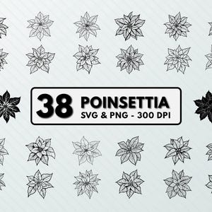 Poinsettia Clipart: SVG, PNG, Cut Files - 300 DPI