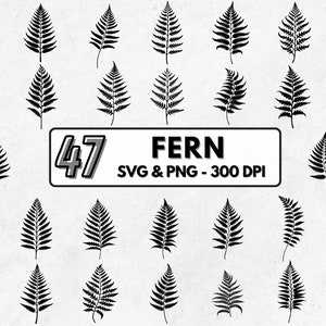 Ferns Svg Bundle, Fern Leaf Silhouette, Fern Leaves Clipart Png, Fern Leaf Outline Svg, Ferns Vector, Fern Outline, Tropical Leaves Svg Png