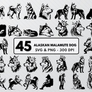 Silhouette de chien Malamute d'Alaska Png, Malamute d'Alaska Svg Bundle coupé, Clipart chien Malamute d'Alaska, Png Malamute d'Alaska, sticker contours de chien