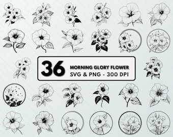 Morning Glory Flower SVG Bundle: Floral Clipart, Outline, Vector (Digital Files)