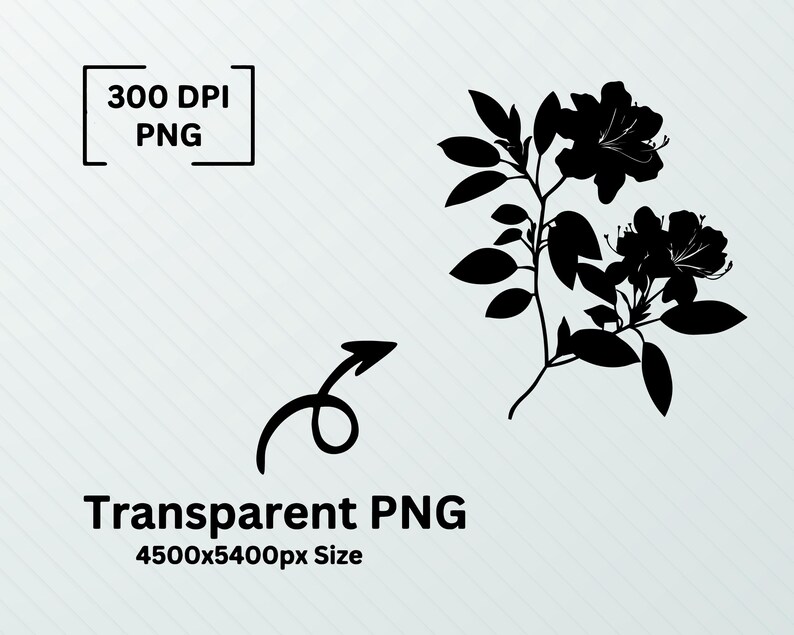 Azalea SVG PNG Bundle: Flower Outline Cut Files - Etsy