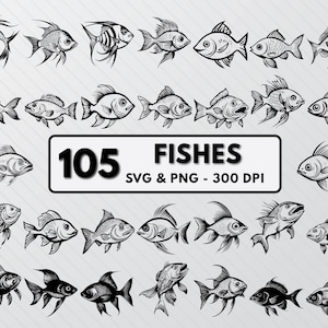 SVG-bundel vis: Sea Life vectorkunst, zeester clipart (PNG, gesneden bestanden)