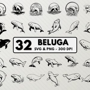 Beluga Whale SVG Bundle: Silhouette Vector Decal (Digital Download)