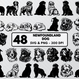 Newfoundland Silhouette Png, Newfoundland Svg Bundle, Newfoundland Dog Vector Art, Dogs Breed Png Clipart Outline, Dog Cut File Cricut Decal