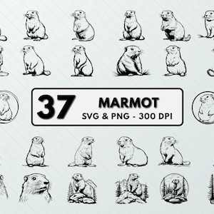 Marmot Svg Png-bundel, Marmot Clipart, Marmot silhouet, Marmot Vector, Marmot gesneden bestand, Marmot Cricut, Marmot Overzicht, Marmot Decal dier