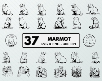 Murmeltier SVG PNG Bündel: Clipart Silhouette Vektor (Digitaler Download)