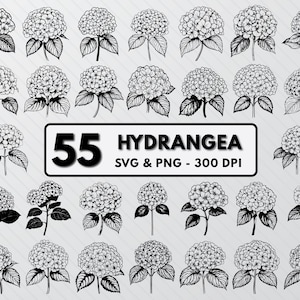 May include: A set of 55 black and white illustrations of hydrangeas. The illustrations are in a vintage style and are perfect for crafting projects, scrapbooking, or digital design. The text "55 Hydrangea SVG & PNG - 300 DPI" is included in the image.