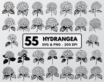 Hydrangea Flower SVG Bundle: Silhouette Clipart (PNG, Vector)