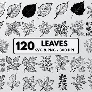 May include: A collection of 120 black and white leaf illustrations. The leaves are drawn in a simple, elegant style and are perfect for use in crafting, scrapbooking, or digital design. 120 LEAVES SVG & PNG - 300 DPI