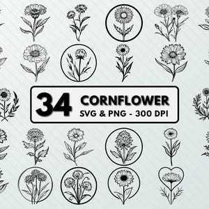 Cornflower Svg Png Bundle, Cornflower Silhouette, Cornflower Clipart, Cornflower Vector, Cornflower Outline, Cornflower Cut File, Cricut