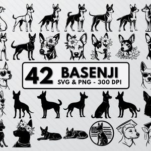 Basenji Dog SVG Bundle: Silhouette Clipart, Puppy Decal (PNG, Vector)