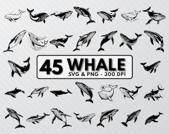 Whale Silhouette SVG Bundle: 58 Clipart Cut Files (PNG, Vector)