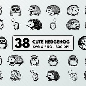 Cute Hedgehog Svg Png Bundle, Hedgehog Clipart, Hedgehog Silhouette, Hedgehog Vector, Hedgehog Cut File, Hedgehog Cricut, Hedgehog Line Art