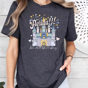 May include: A dark gray t-shirt with a colorful illustration of a castle and fireworks. The text "Florida!!!" is above the castle and the text "One Hell Of A Day" is below the castle.