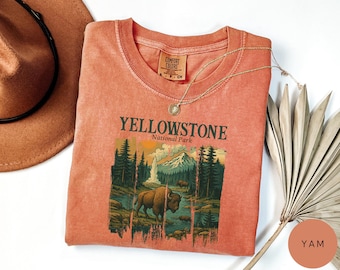 Comfort Colors Yellowstone National Park T-Shirt, Retro Bison Tee