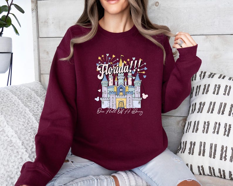 May include: Burgundy sweatshirt with a graphic of a castle and fireworks. The text "Florida!!" and "One Hell Of A Day" are printed on the sweatshirt.