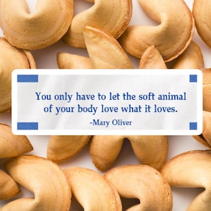 Autocollant en papier pour biscuits Wild Geese Fortune Mary Oliver « Vous n'avez qu'à laisser votre animal doux aimer ce qu'il aime. Poésie