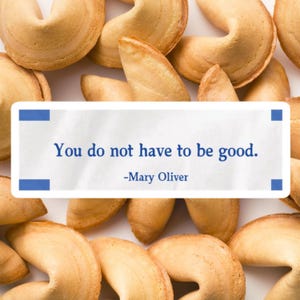 Mary Oliver Sticker Wildgänse Glückskeks Zettelchen „Du musst nicht gut sein“ Poesie