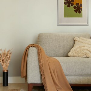 May include: A light brown throw blanket with fringe edges draped over a light gray sofa with a white pillow. The sofa is in front of a light green wall with a framed abstract print of two brown flowers on a green and orange background.