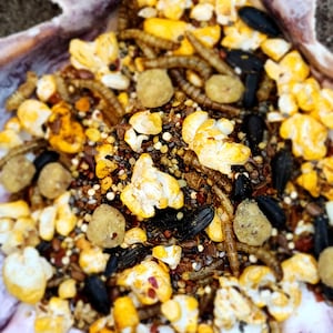 Angry Bird Spicy Snack Mix