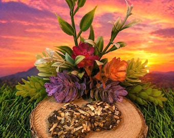 Tropical Toot-y - Dolcetto per paguri