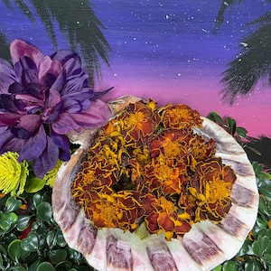 May include: A seashell filled with dried orange and brown marigold flowers. A large purple flower is to the left, with a green and purple background. The seashell is resting on a bed of green leaves.