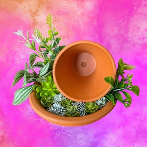 May include: Two terracotta pots, one inside the other, surrounded by artificial succulents and greenery. The pots are a warm, earthy orange color, set against a vibrant pink and orange background. The arrangement suggests a decorative plant display.