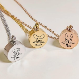 Custom Dog Hair Urn Keepsake Necklace, Dog Ashes Memorial Necklace, Personalized Dog Cremation Jewelry, Dog Lovers Gift, Dog Loss Gift