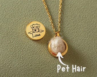 Collar con urna, collar con urna personalizado para mascotas, urna para cenizas de pelo, collar conmemorativo, regalo de joyería conmemorativa para cenizas de mascotas (gato o perro), recuerdo de la pérdida de una mascota.