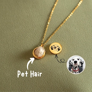 Custom Pet Hair Keepsake Necklace, Dog Cat Memorial Necklace, Personalized Pet Cremation Jewelry, Pet Lovers Gift, Pet Loss Memorial Gift