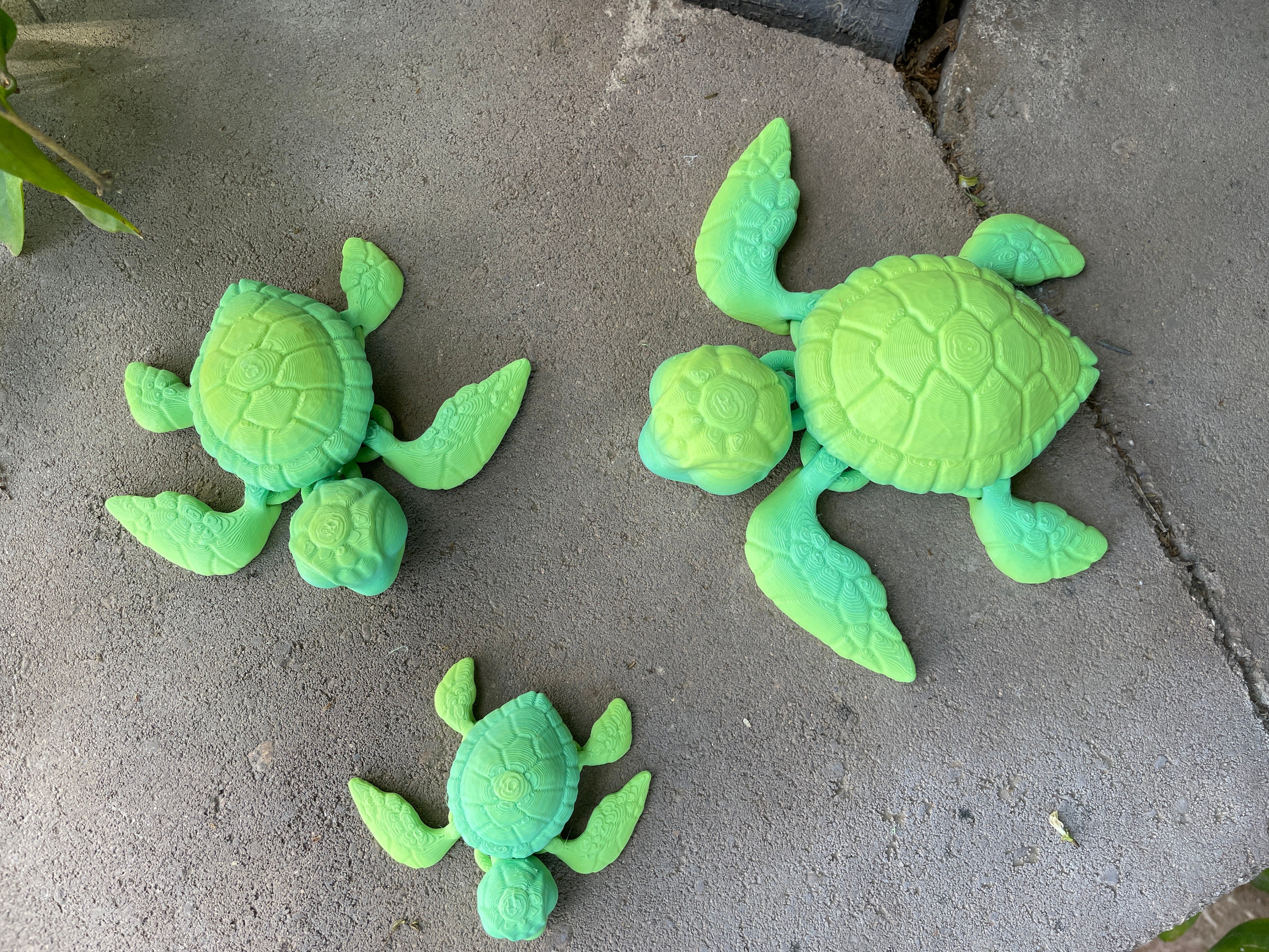 Fully Articulated Turtles - 3, 4, or 5 Inches - Desktop or Fidget Toy ...