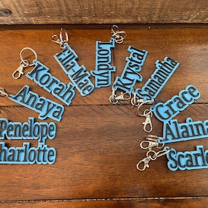 Sports or Cheerleading Team Keychain, Bag Tag, Luggage Tag, or Zipper Pull - Choose your team colors and names!