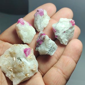 Op de afbeelding: Vijf ruwe, witte, ondoorzichtige, natuurlijke, ongeslepen, ruwe edelsteenkristallen met roze robijn-insluitsels. De kristallen bevinden zich in een hand.