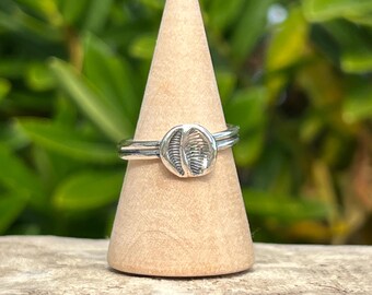 Cowrie Imprint Recycled Sterling Silver Ring