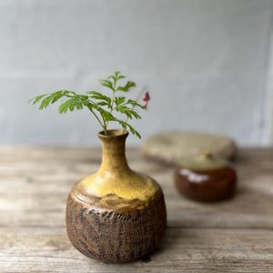 May include: A small, yellow ceramic vase with a brown textured pattern. The vase is filled with a single sprig of green foliage with a small pink flower.