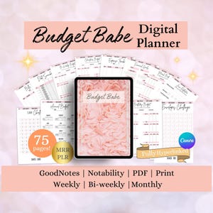 Budget Spread Budget Review Printable iPad Budget Plan PLR Planner Budget Debt Goodnotes Financial Overview Finance Planner Expense Tracker